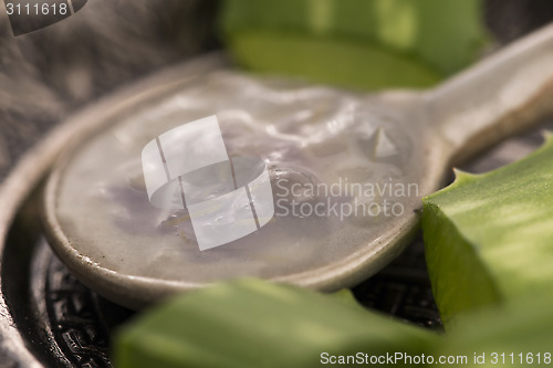 Image of aloe vera juice with fresh leaves 