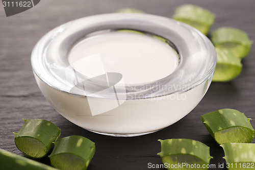 Image of aloe vera - leaves and cream