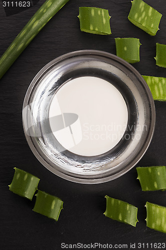 Image of aloe vera - leaves and cream