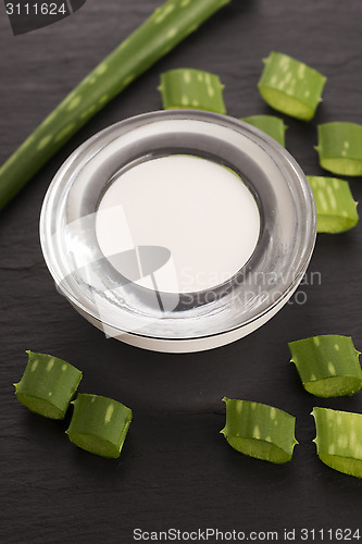 Image of aloe vera - leaves and cream