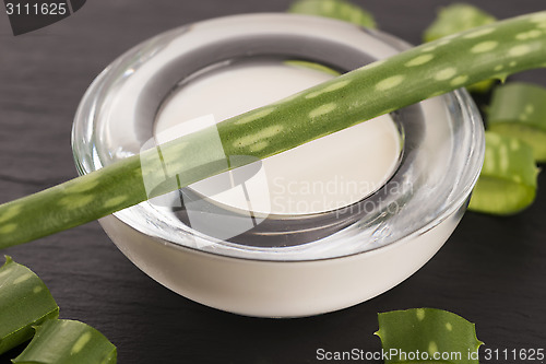 Image of aloe vera - leaves and cream