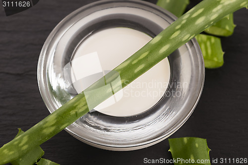 Image of aloe vera - leaves and cream