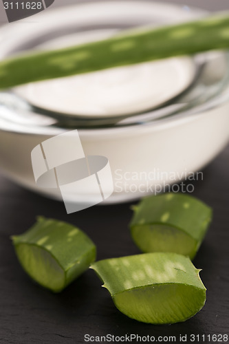 Image of aloe vera - leaves and cream