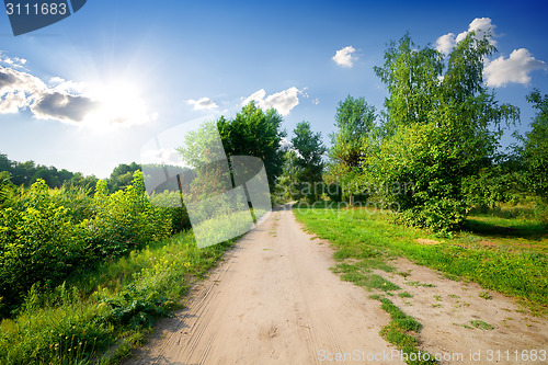 Image of Trees and road