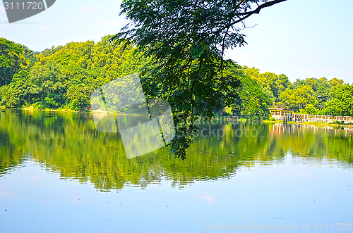 Image of Clean lake in green spring summer forest. Blue sunny sky.