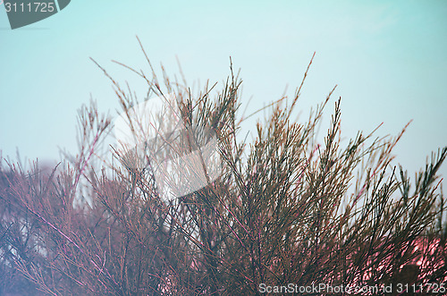 Image of Green leaf and blue sky fine nature background.