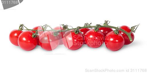 Image of In front cherry tomatoes on the stem