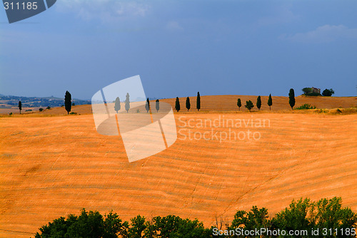 Image of tuscany