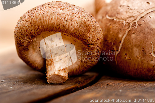 Image of shiitake mushrooms