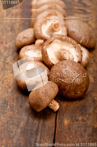 Image of shiitake mushrooms