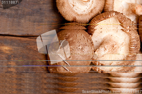 Image of shiitake mushrooms