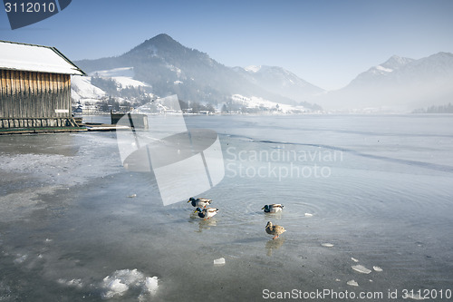 Image of Schliersee Winter