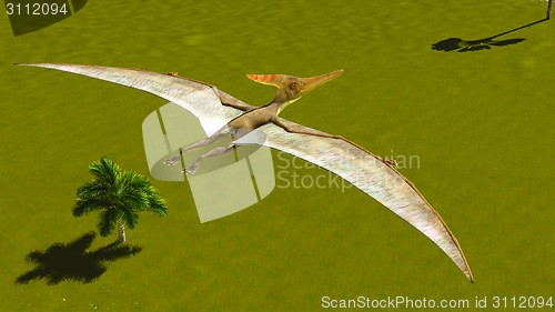 Image of Flying pterodactyl 