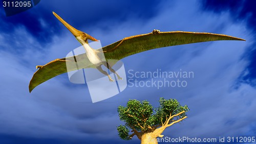 Image of Flying pterodactyl 