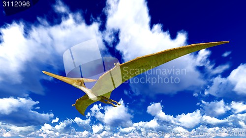 Image of Flying pterodactyl 