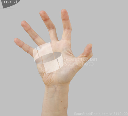 Image of White hand on perfect gray background