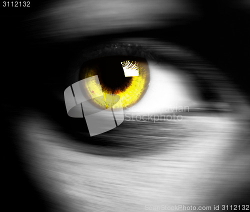 Image of Beautiful eye 