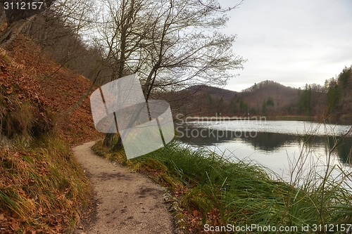 Image of Small Pathway going trough the forest