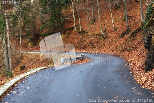 Image of Road in autumn forest landscape
