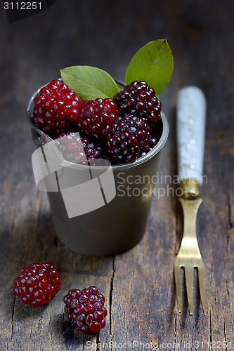 Image of Fresh blackberries 