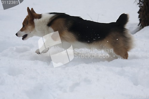 Image of running in snow