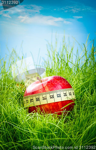 Image of Apple on the grass