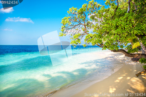 Image of Maldives beach