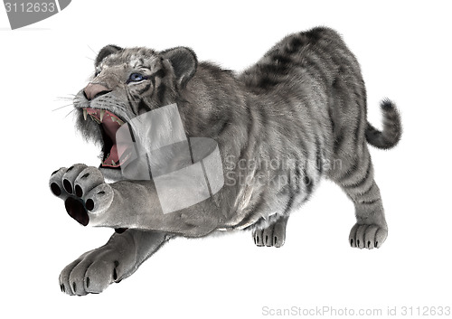 Image of White Tiger