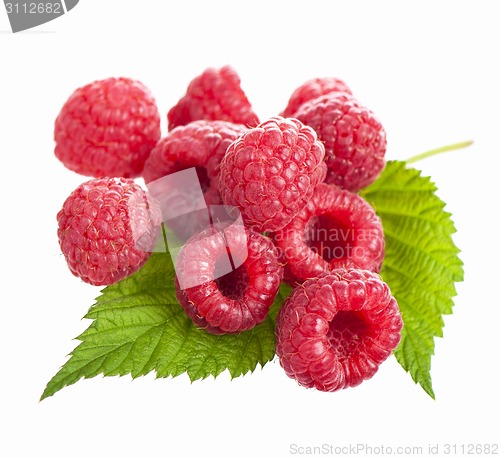 Image of Several red roses
