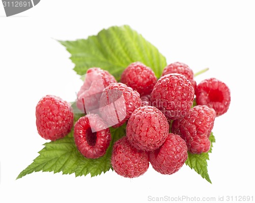 Image of Several red roses
