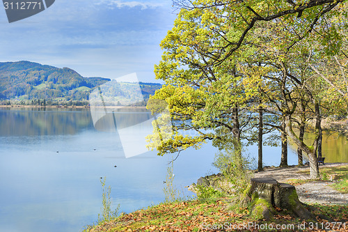 Image of park at lake Kochelsee