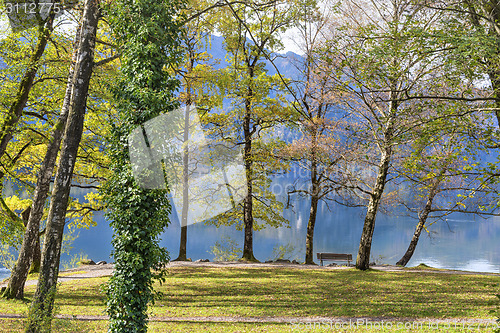 Image of park at lake Kochelsee