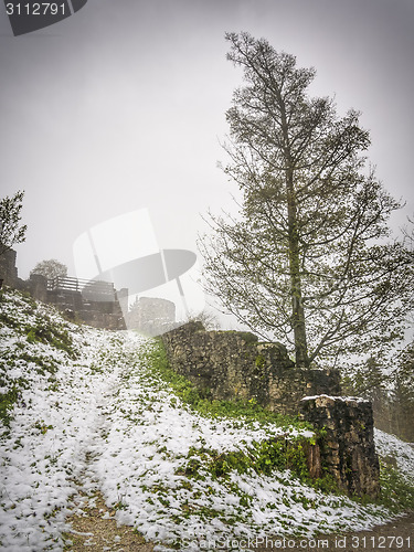 Image of Ruin Hohenfreyberg