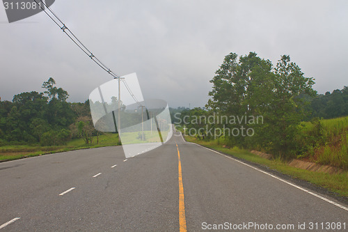 Image of Road in a green forest