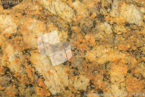 Image of surface of the stone