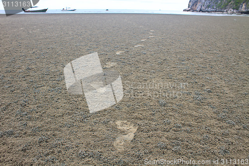 Image of Footprint on sand