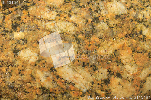 Image of surface of the stone