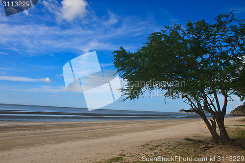 Image of  beach and tropical sea in summer