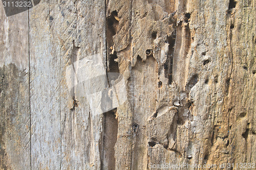 Image of close up dark brown wood texture 