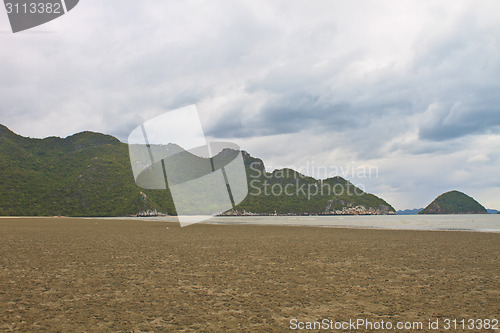 Image of  beach and tropical sea in summer