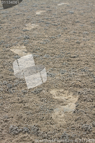 Image of Footprint on sand