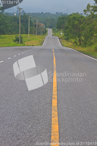 Image of Road in a green forest