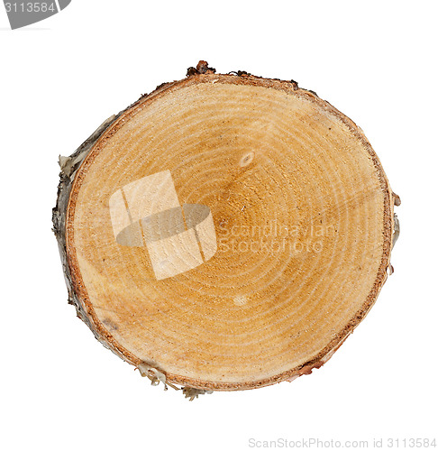 Image of Tree cut