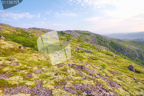 Image of polar hills Scandinavian tundra in summer