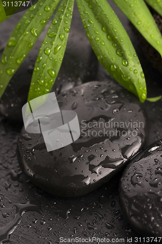 Image of Green leaf on spa stone on wet black surface