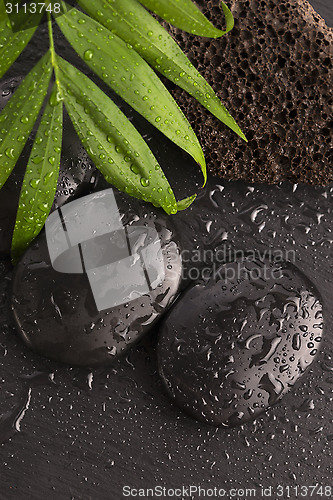 Image of Green leaf on spa stone on wet black surface