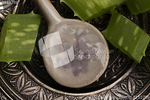 Image of aloe vera juice with fresh leaves 