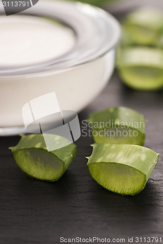 Image of aloe vera - leaves and cream