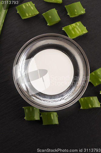 Image of aloe vera - leaves and cream