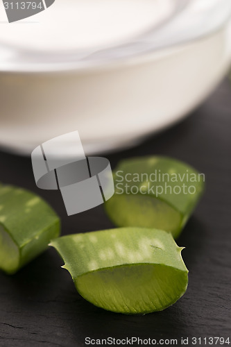 Image of aloe vera - leaves and cream